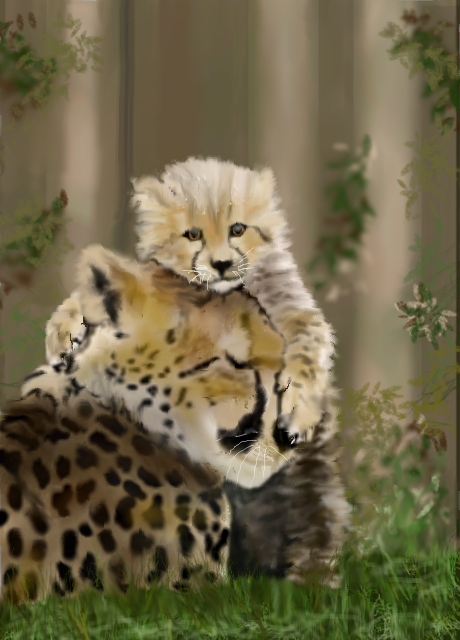 460x640 baby cheetah cub mother - Cheetah Cub Drawing