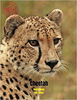 260x336 cheetah sketchbook for teens blank paper for drawing, doodling - Cheetah Drawing