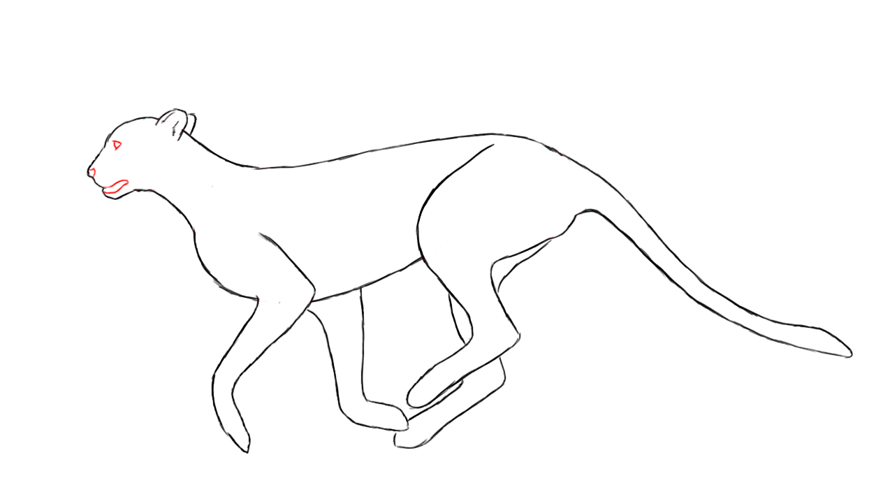 1274x701 How To Draw A Cheetah - Cheetah Drawing