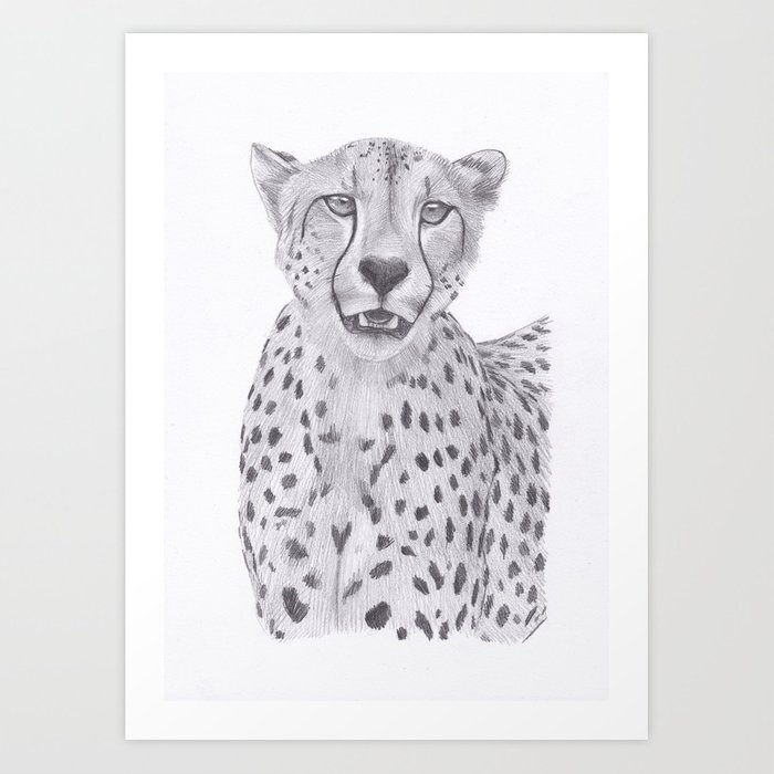 700x700 Cheetah Drawing Art Print - Cheetah Drawing