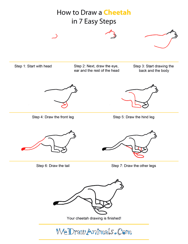 600x776 How To Draw A Cheetah - Cheetah Drawing Easy