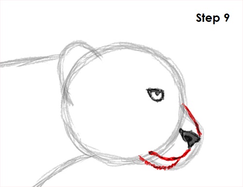 500x386 How To Draw A Cheetah - Cheetah Drawing Easy