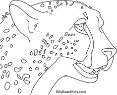 236x191 best cheetahs images animal drawings, cheetahs, easy drawings - Cheetah Drawing Easy