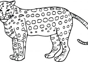 300x210 cheetah drawing kids how to draw a cheetah quick easy - Cheetah Drawing For Kids