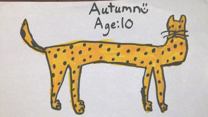 719x405  - Cheetah Drawing For Kids