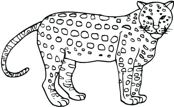 600x370 comical cheetah drawing coloring - Cheetah Drawing For Kids
