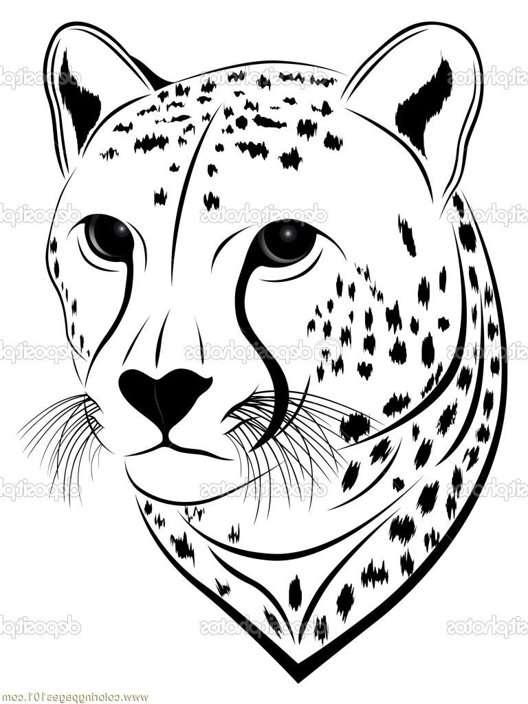 768x1024 Animal Face Drawing Kids Colour Photos Cheetah Face Coloring - Cheetah Drawing For Kids