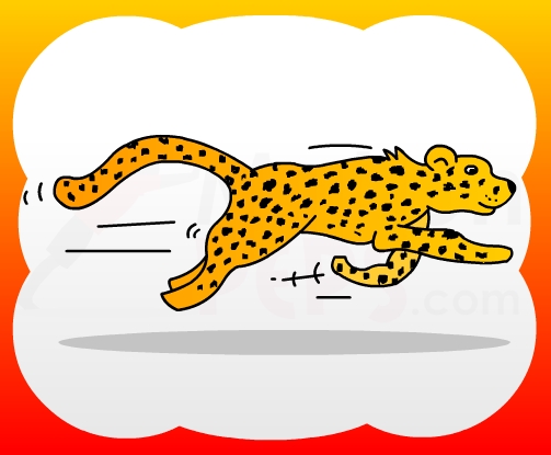 503x415 How To Draw Cheetah For Kids - Cheetah Drawing For Kids