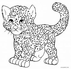 236x230 Huge Collection Of 'cheetah Drawing Kids' Download More Than - Cheetah Drawing For Kids