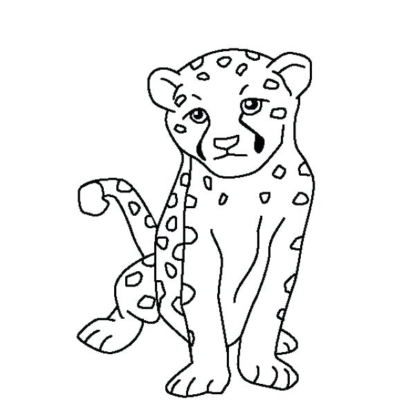 600x600 what color is a cheetah drawn cheetah black and white pencil - Cheetah Drawing For Kids