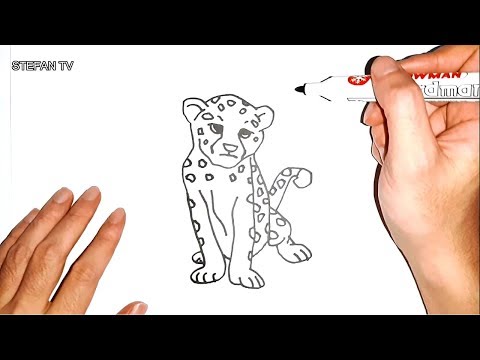 480x360 How To Draw Cheetah For Kids - Cheetah Drawing For Kids