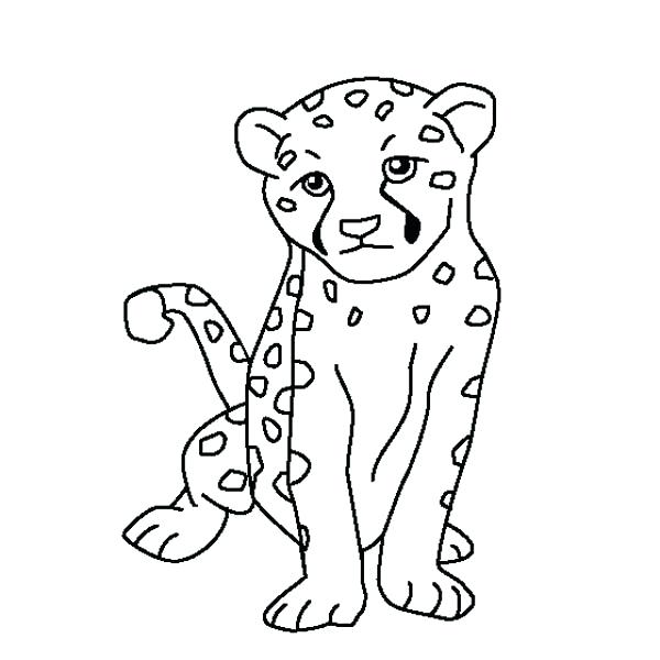 600x600 how to draw a cheetah packed with draw cheetah for prepare - Cheetah Drawing Step By Step