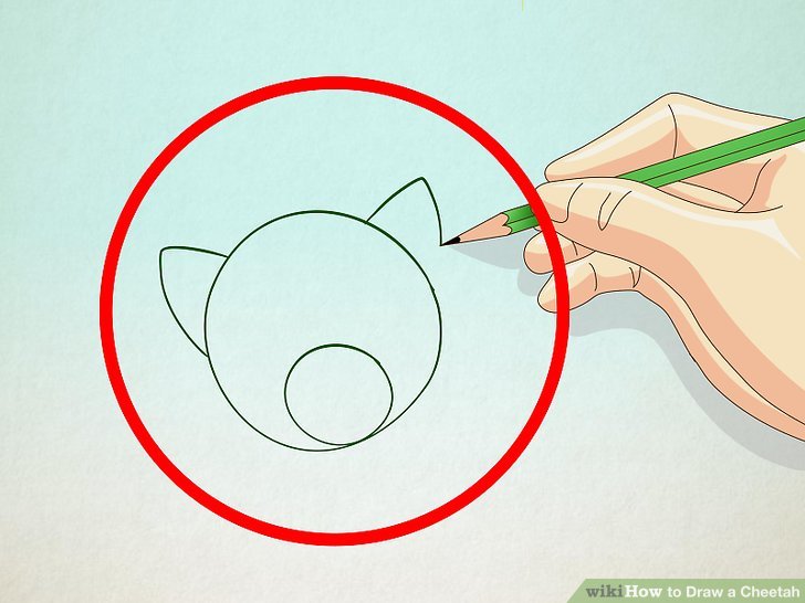 728x546 How To Draw A Cheetah Steps - Cheetah Drawing Step By Step