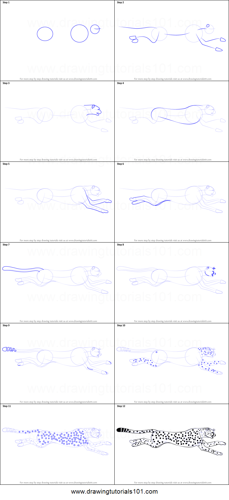 751x1641 How To Draw A Cheetah Running Printable Step - Cheetah Drawing Step By Step