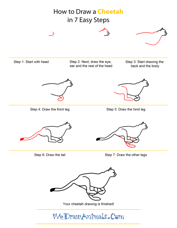 600x776 cheetah how to draw how to draw a cheetah - Cheetah Drawing Step By Step