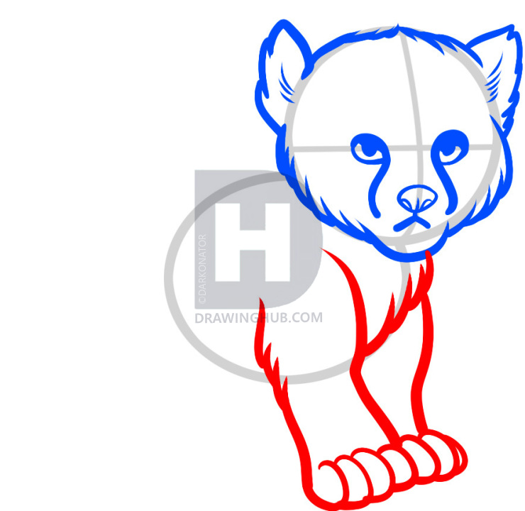 740x720 how to draw a baby cheetah, baby cheetah, step - Cheetah Drawing Step By Step