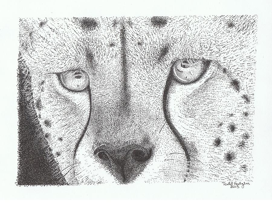 900x674 Cheetah Face Drawing - Cheetah Face Drawing