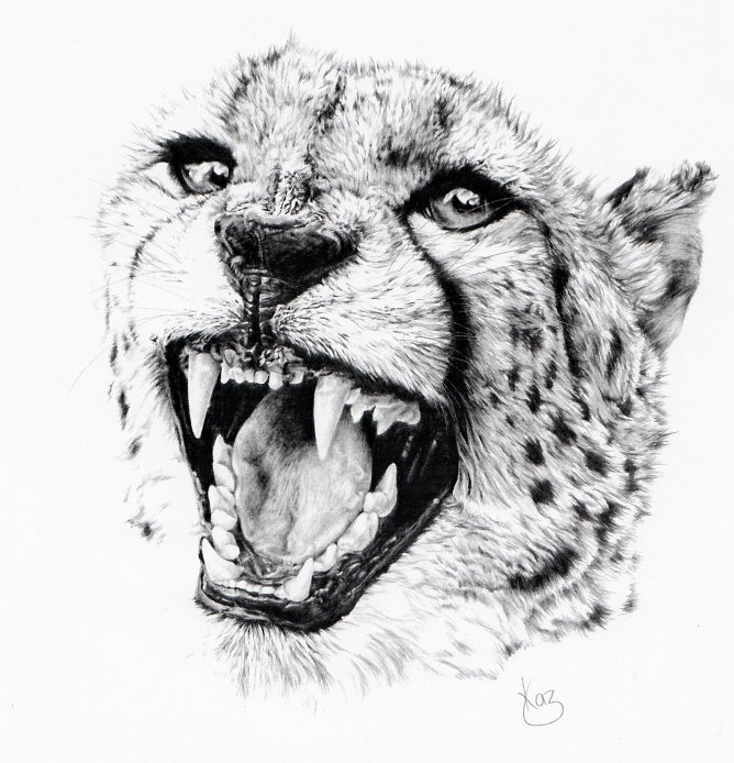 668x694 Cheetah Face Pencil Drawing - Cheetah Face Drawing