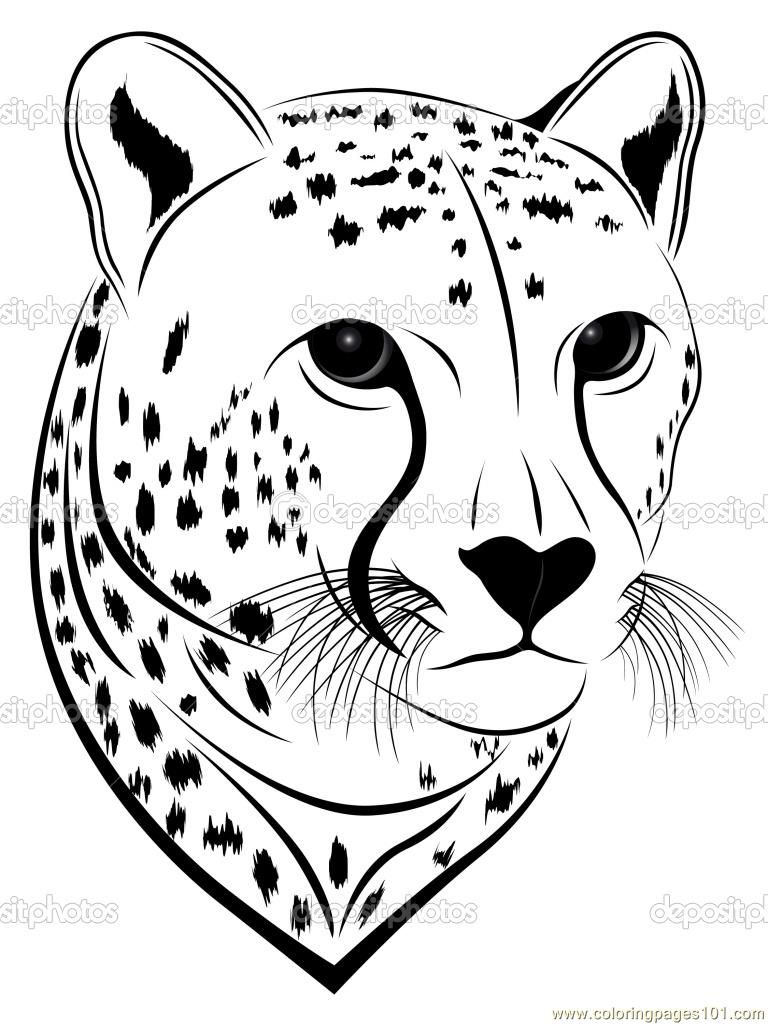 768x1024 Coloring Pages Cheetah Face - Cheetah Face Drawing