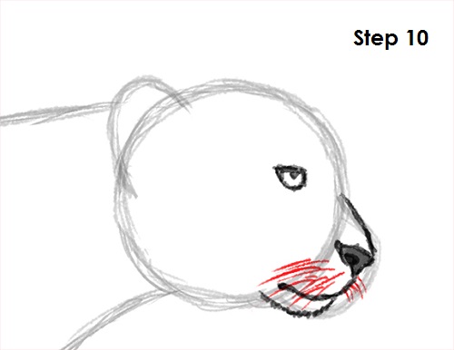 500x386 How To Draw A Cheetah - Cheetah Face Drawing