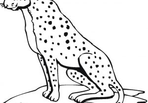 300x210 cheetah drawing kids cheetah face drawing sketch gallery bright - Cheetah Face Drawing