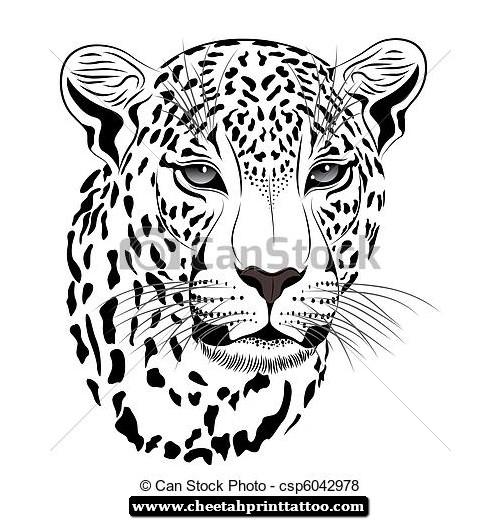 500x520 Cheetah Drawings Images Group With Items - Cheetah Head Drawing