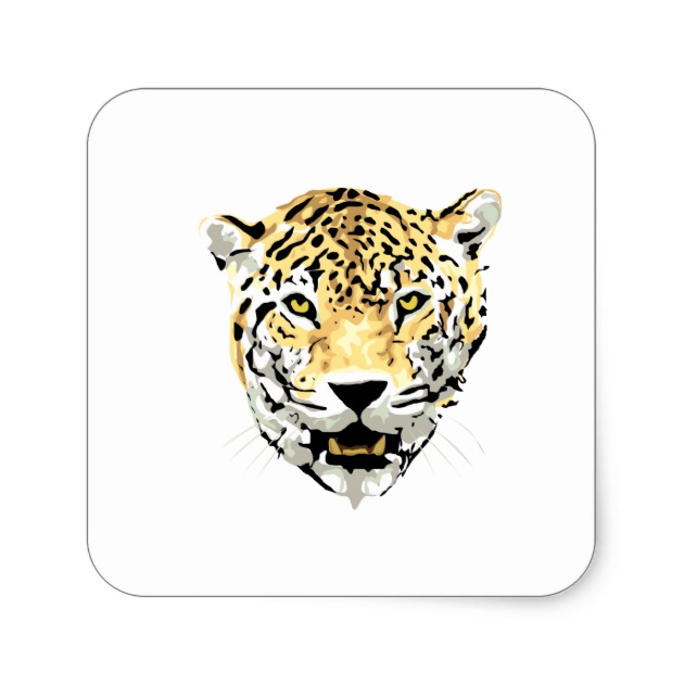 630x630 Cheetah Head Drawing Square Sticker - Cheetah Head Drawing