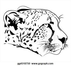 236x221 Cheetah Head - Cheetah Head Drawing