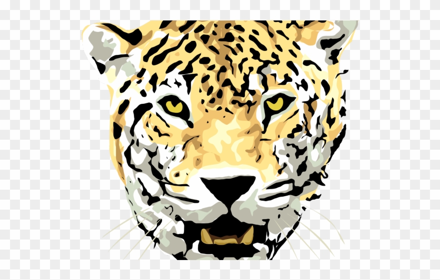 880x561 Head Clipart Cheetah - Cheetah Head Drawing