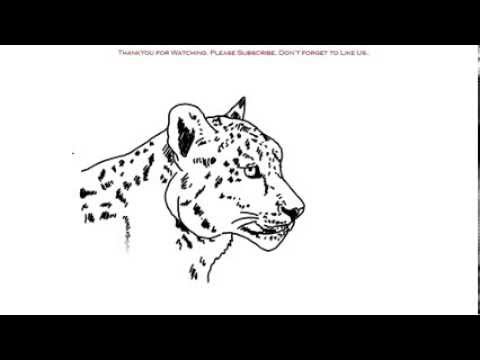 480x360 How To Draw A Cheetah Yzarts Yzarts - Cheetah Head Drawing