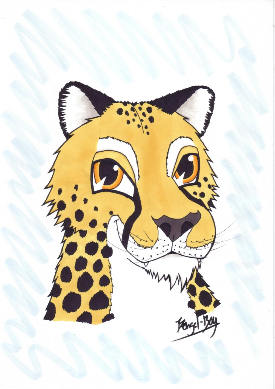 905x1280 Quick Cheetah Head Drawing - Cheetah Head Drawing