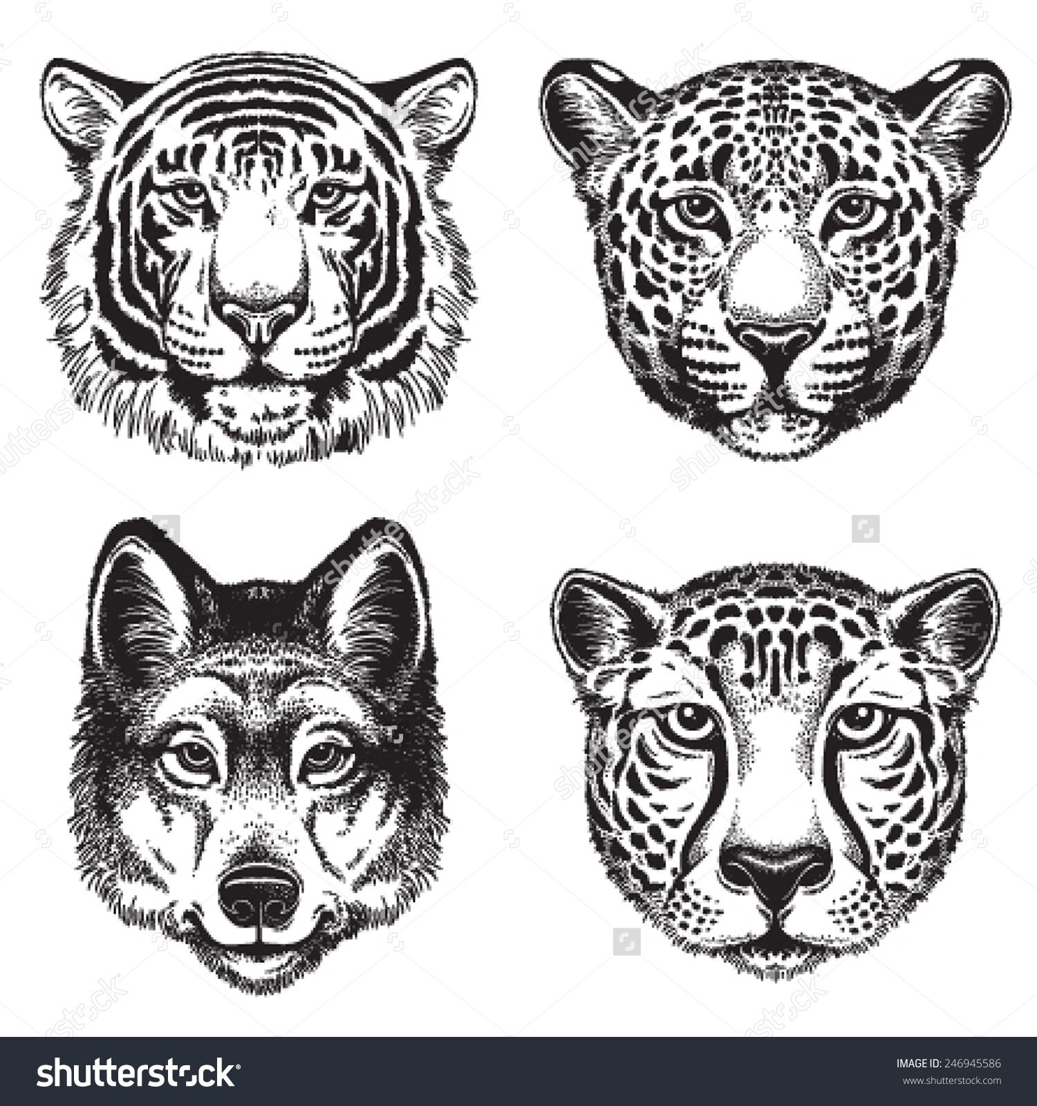 1500x1600 Black And White Vector Line Drawings Of Wild Animal Faces Cheetah - Cheetah Head Drawing