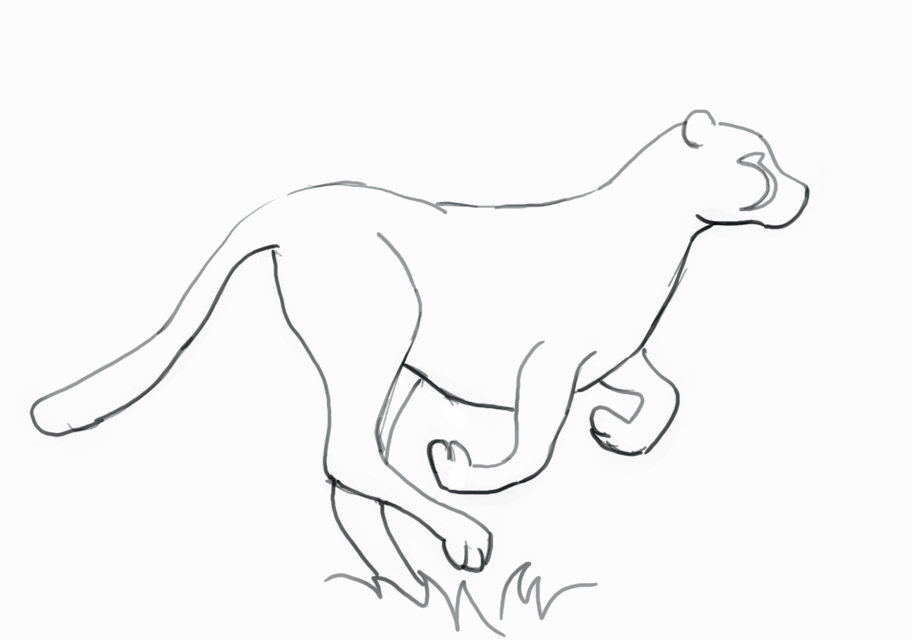 1300x912 Drawn Cheetah Line Art - Cheetah Line Drawing
