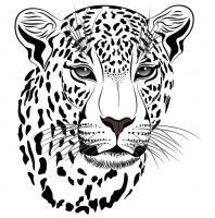 198x200 Image Result For Cheetah Line Drawing Tattoo's Leopard Tattoos - Cheetah Line Drawing