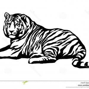 300x300 black white vector line drawing cheetahs arenawp - Cheetah Line Drawing