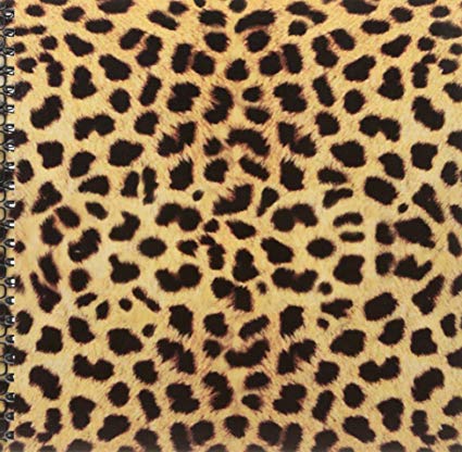 425x416 Db Cheetah Animal Print Drawing Book - Cheetah Print Drawing