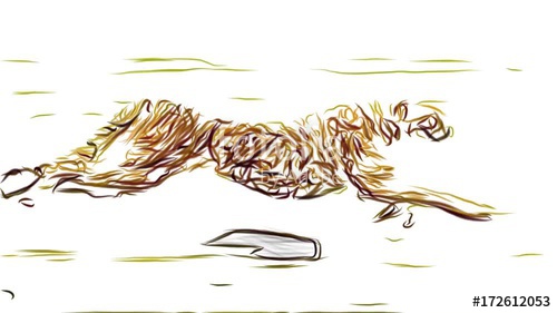 500x281 Cheetah Running Pencil Draw Cartoon Animation Seamless Endless - Cheetah Running Drawing