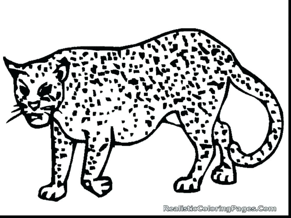 970x727 Best Of Cheetah Running Coloring Pages Stock - Cheetah Running Drawing
