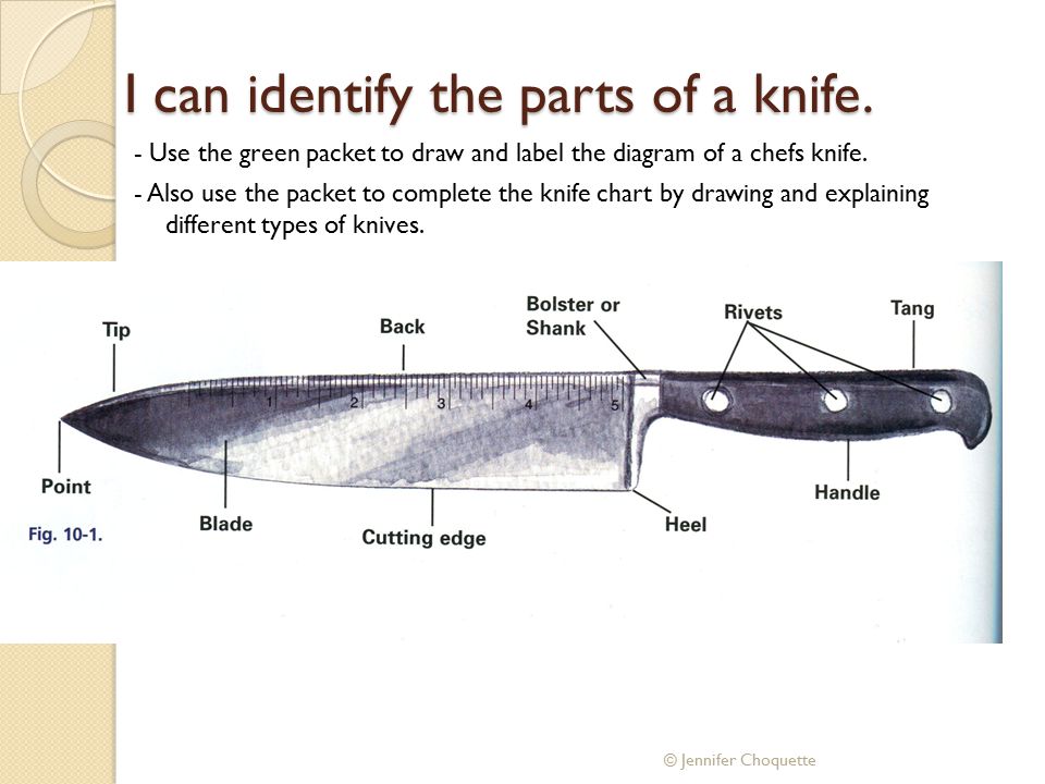 960x720 i can identify the parts of a knife - Chef Knife Drawing