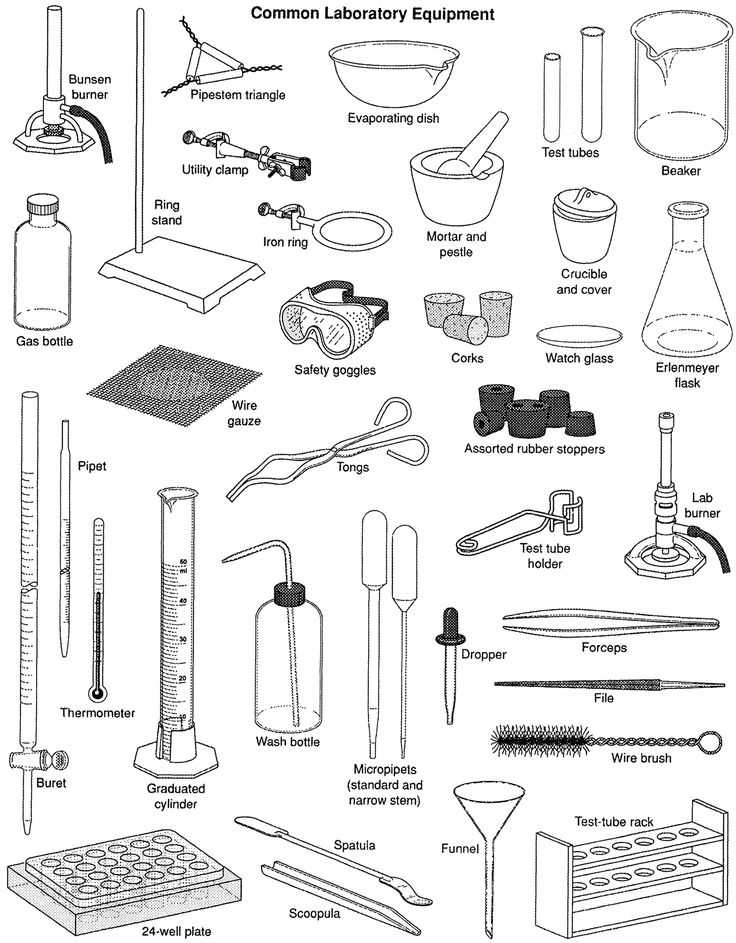 736x943 lab equipment worksheet answers together with chemistry lab - Chemistry Lab Drawing