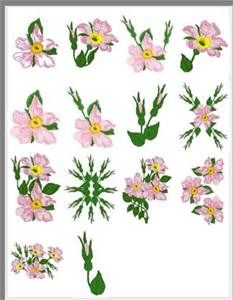 233x300 cherokee rose drawings - Cherokee Rose Drawing