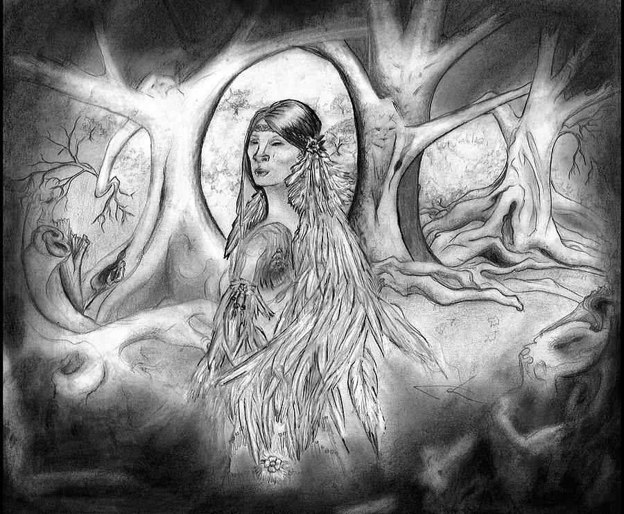 900x741 trail of tears the story of cherokee rose drawing - Cherokee Rose Drawing