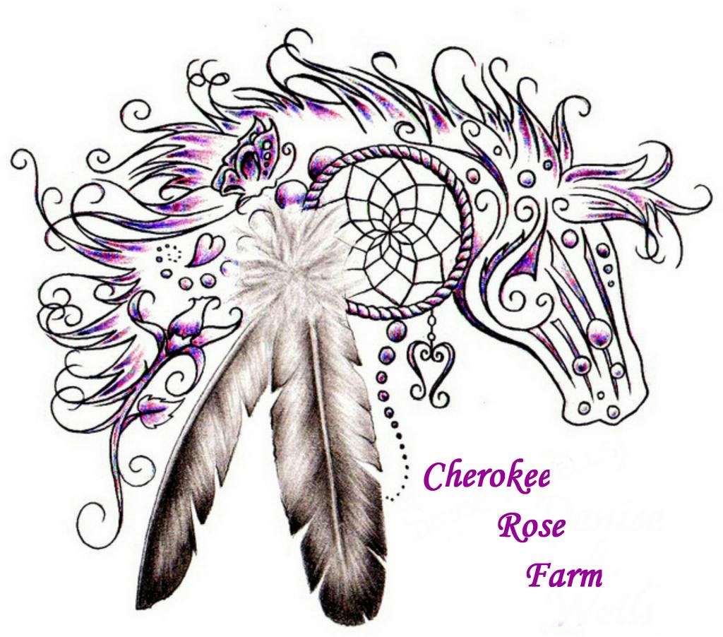 1024x902 cherokee rose farm on equinenow - Cherokee Rose Drawing