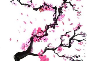 300x210 cherry blossom branch drawing cherry blossom branch art - Cherry Blossom Branch Drawing