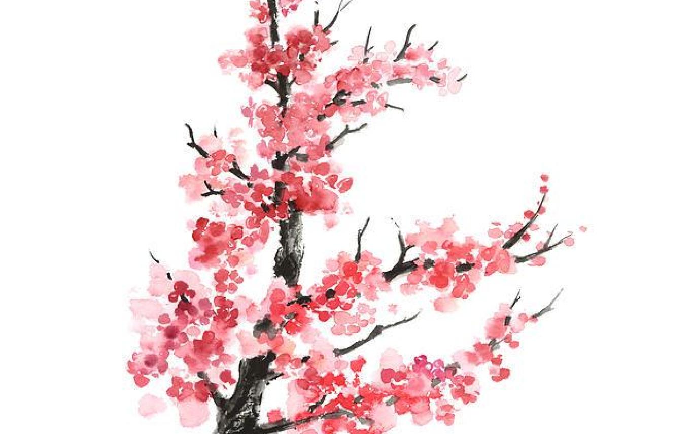 Cherry Blossom Branch Drawing at PaintingValley.com | Explore ...