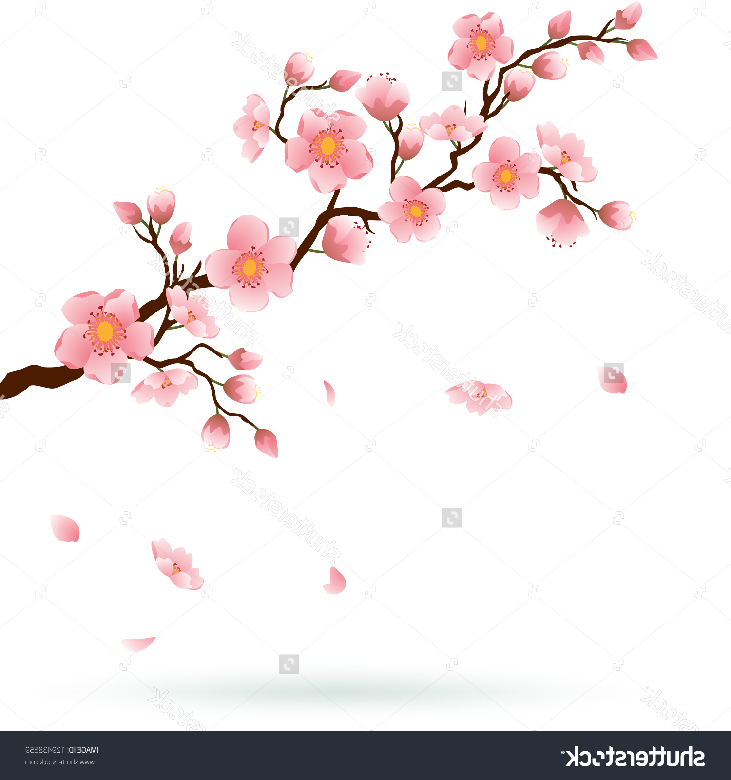 1500x1600 Cherry Blossom Branch Png Images In Collection - Cherry Blossom Branch Drawing