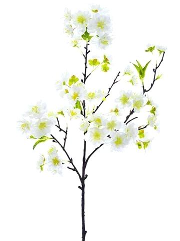 360x480 Cherry Blossom Branch Wall Decal Art - Cherry Blossom Branch Drawing