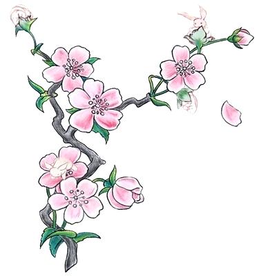 375x400 how to draw cherry blossoms as well as cherry blossom drawings - Cherry Blossom Branch Drawing