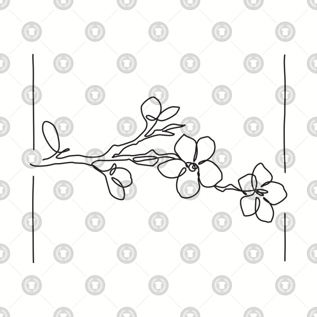 630x630 Cherry Blossom Line Drawing - Cherry Blossom Drawing