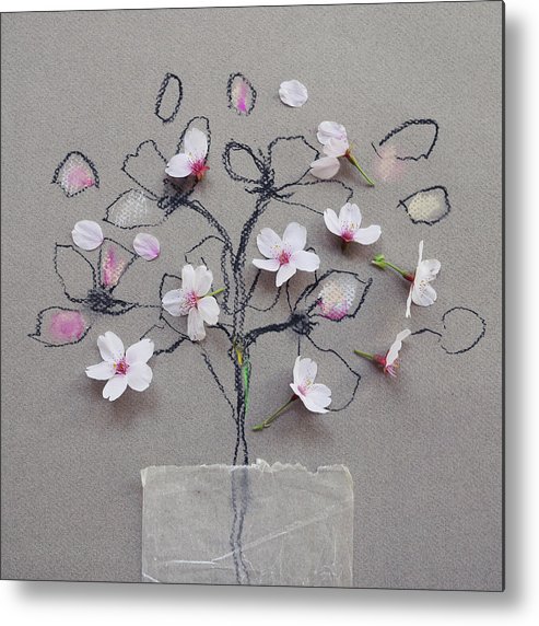 493x572 cherry blossom on blossom drawing metal print - Cherry Blossom Drawing